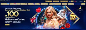 https://www.meritlimancasino320.com/