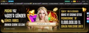 https://www.pashagaming.com