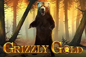 Grizzly Gold Slot Oyunları Görseli