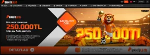 https://bahislion.com/