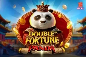 Double Fortune Panda Slot Oyunları Görseli