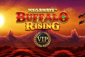 Buffalo Rising All Action Megaways Slot Oyunları Görseli