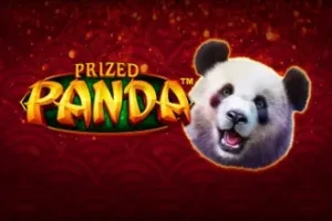 Prized Panda Slot Oyunları Görseli